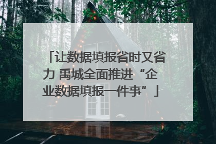 让数据填报省时又省力 禹城全面推进“企业数据填报一件事”