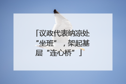 议政代表纳凉处“坐班”，架起基层“连心桥”