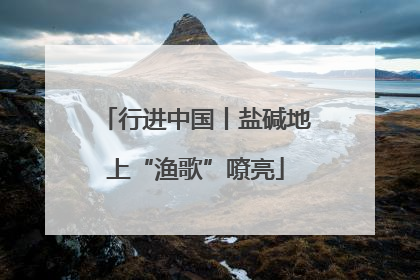 行进中国丨盐碱地上“渔歌”嘹亮