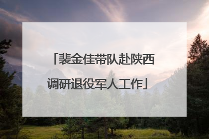 裴金佳带队赴陕西调研退役军人工作