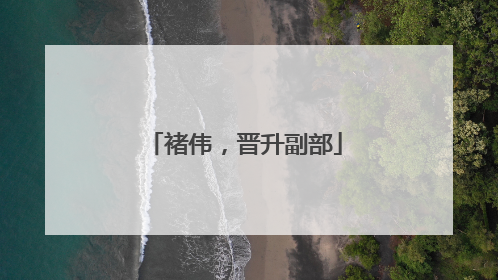 褚伟，晋升副部