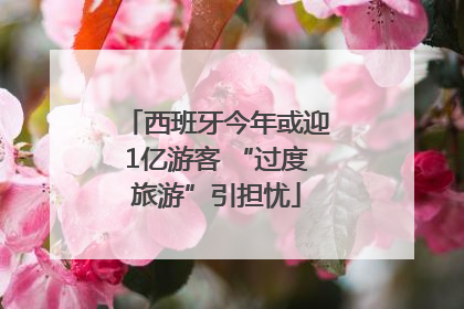 西班牙今年或迎1亿游客 “过度旅游”引担忧