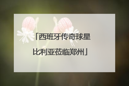 西班牙传奇球星 比利亚莅临郑州