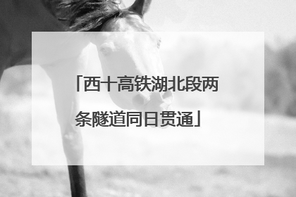 西十高铁湖北段两条隧道同日贯通