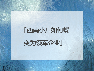 西南小厂如何蝶变为领军企业