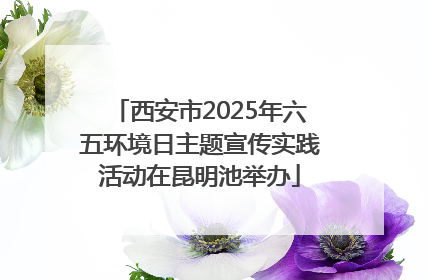西安市2025年六五环境日主题宣传实践活动在昆明池举办