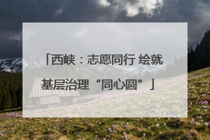 西峡：志愿同行 绘就基层治理“同心圆”