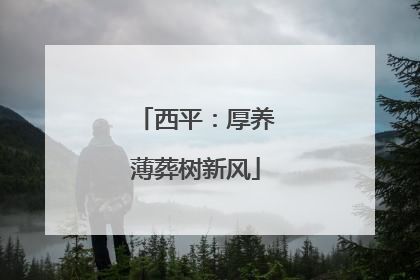 西平：厚养薄葬树新风
