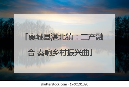 襄城县湛北镇：三产融合 奏响乡村振兴曲
