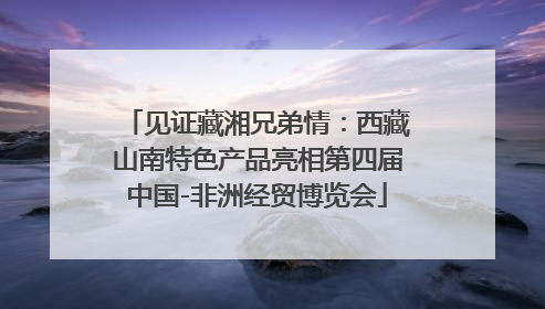 见证藏湘兄弟情：西藏山南特色产品亮相第四届中国-非洲经贸博览会