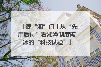 观“湘”门丨从“先用后付”看湘潭制度破冰的“科技试验”