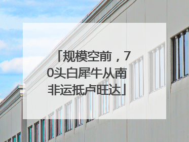 规模空前，70头白犀牛从南非运抵卢旺达