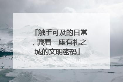 触手可及的日常，藏着一座有礼之城的文明密码