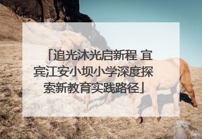 追光沐光启新程 宜宾江安小坝小学深度探索新教育实践路径