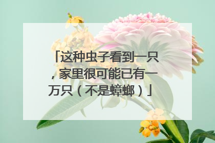 这种虫子看到一只，家里很可能已有一万只（不是蟑螂）