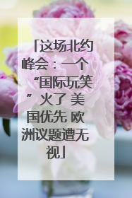这场北约峰会：一个“国际玩笑”火了 美国优先 欧洲议题遭无视