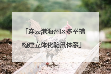 连云港海州区多举措构建立体化防汛体系