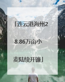 连云港海州28.86万亩小麦陆续开镰