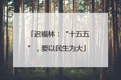 迟福林：“十五五”，要以民生为大