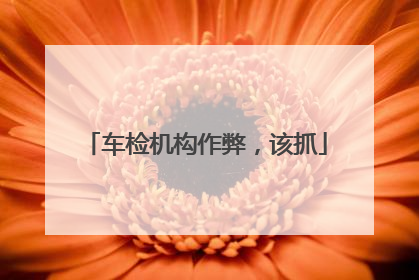 车检机构作弊，该抓
