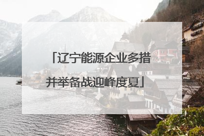 辽宁能源企业多措并举备战迎峰度夏