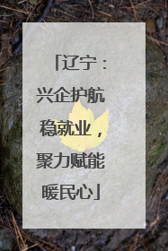 辽宁：兴企护航稳就业，聚力赋能暖民心