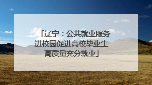 辽宁：公共就业服务进校园促进高校毕业生高质量充分就业