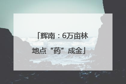 辉南：6万亩林地点“药”成金