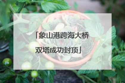 象山港跨海大桥双塔成功封顶