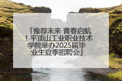 豫荐未来 青春启航！平顶山工业职业技术学院举办2025届毕业生夏季招聘会