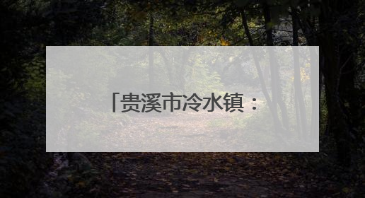 贵溪市冷水镇：“六字工作法”扎实推进二轮土地延包工作（图）