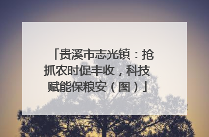 贵溪市志光镇：抢抓农时促丰收，科技赋能保粮安（图）