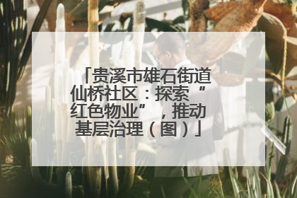贵溪市雄石街道仙桥社区：探索“红色物业”，推动基层治理（图）