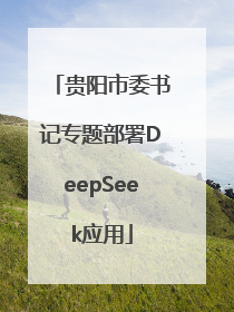 贵阳市委书记专题部署DeepSeek应用