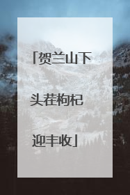贺兰山下 头茬枸杞迎丰收