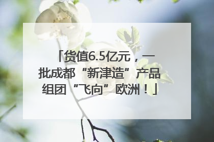 货值6.5亿元，一批成都“新津造”产品组团“飞向”欧洲！