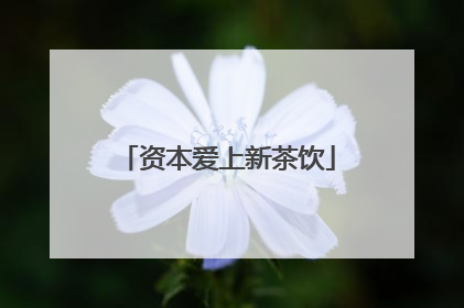 资本爱上新茶饮