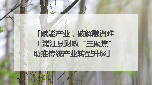 赋能产业，破解融资难！浦江县财政“三聚焦”助推传统产业转型升级