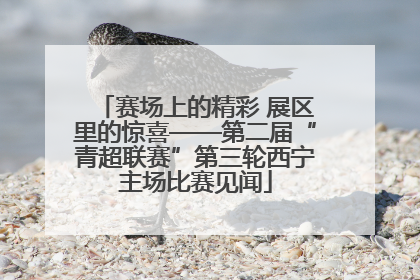 赛场上的精彩 展区里的惊喜——第二届“青超联赛”第三轮西宁主场比赛见闻