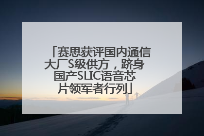 赛思获评国内通信大厂S级供方，跻身国产SLIC语音芯片领军者行列