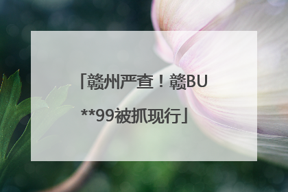 赣州严查！赣BU**99被抓现行