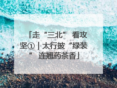 走“三北” 看攻坚①｜太行披“绿装” 连翘药茶香