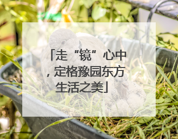 走“镜”心中，定格豫园东方生活之美