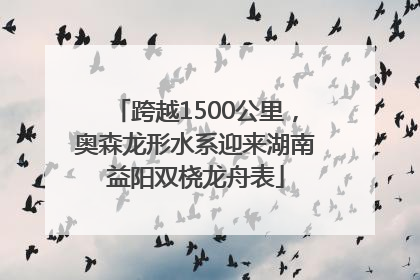 跨越1500公里，奥森龙形水系迎来湖南益阳双桡龙舟表