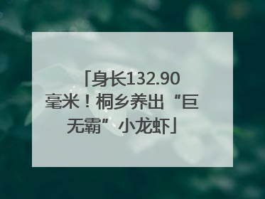 身长132.90毫米！桐乡养出“巨无霸”小龙虾