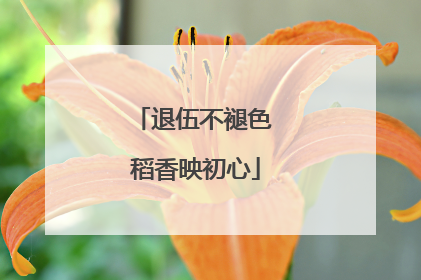 退伍不褪色 稻香映初心