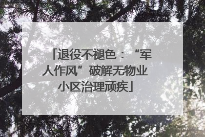 退役不褪色：“军人作风”破解无物业小区治理顽疾