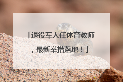 退役军人任体育教师，最新举措落地！