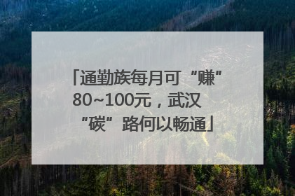 通勤族每月可“赚”80~100元，武汉“碳”路何以畅通