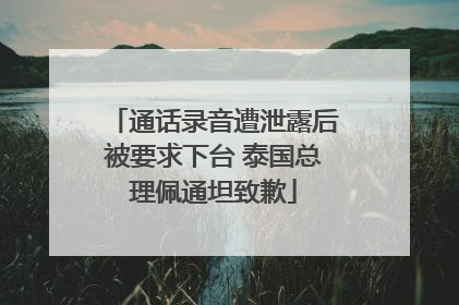 通话录音遭泄露后被要求下台 泰国总理佩通坦致歉